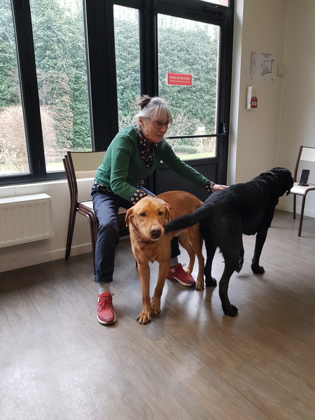 Nathalie joue avec les chiens